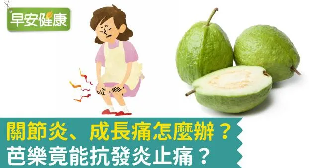 關節炎、成長痛怎麼辦？芭樂竟能抗發炎止痛？