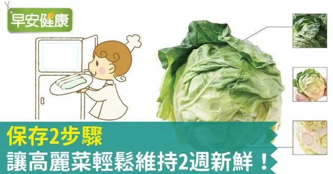 保存2步驟，讓高麗菜輕鬆維持2週新鮮！