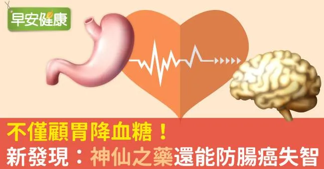 不僅顧胃降血糖！新發現：「神仙之藥」還能防腸癌失智