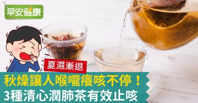 秋燥讓人喉嚨癢咳不停！3種清心潤肺茶有效止咳