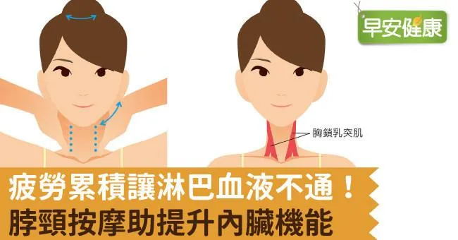 疲勞累積讓淋巴血液不通！脖頸按摩助提升內臟機能