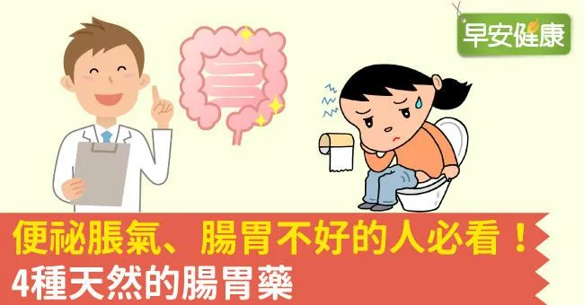 便祕脹氣、腸胃不好的人必看！4種天然的腸胃藥