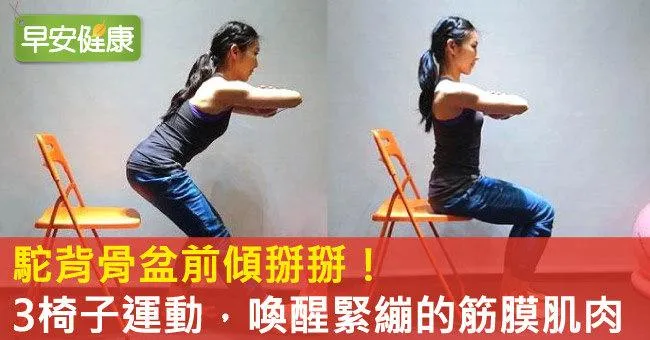 駝背骨盆前傾掰掰！3椅子運動，喚醒緊繃的筋膜肌肉