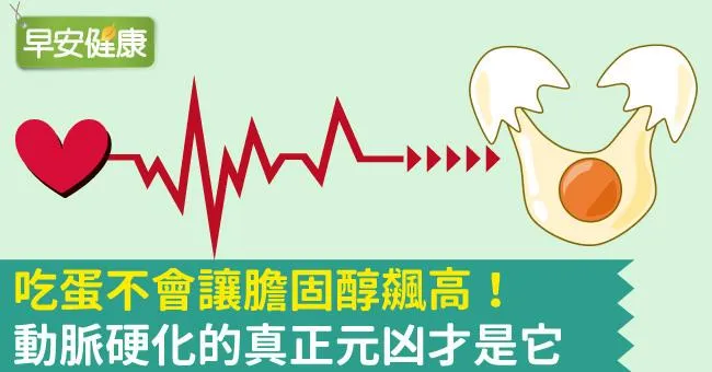 吃蛋不會讓膽固醇飆高！動脈硬化的真正元凶才是它