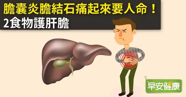 膽囊炎膽結石痛起來要人命！2食物護肝膽