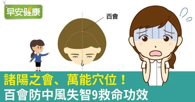 認識百會穴有多實用！百會穴防中風失智9救命功效