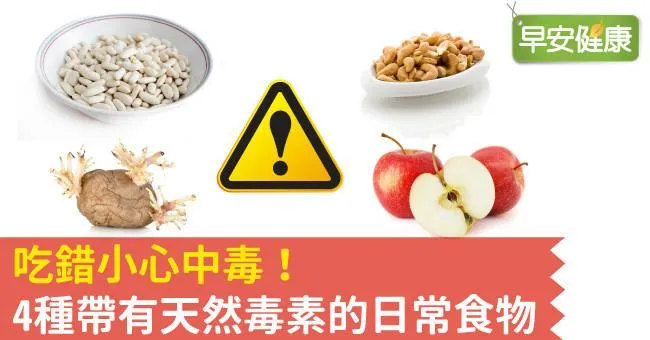 吃錯小心中毒！4種帶有天然毒素的日常食物