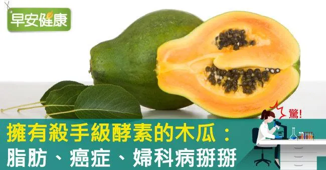 擁有殺手級酵素的木瓜：脂肪、癌症、婦科病掰掰