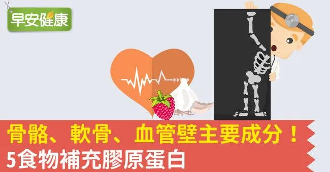 骨骼、軟骨、血管壁主要成分！5食物補充膠原蛋白