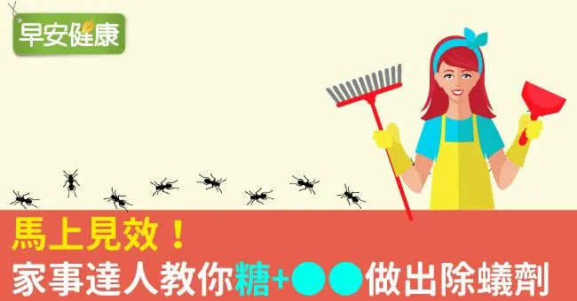 馬上見效！家事達人教你「糖+OO」做出除蟻劑