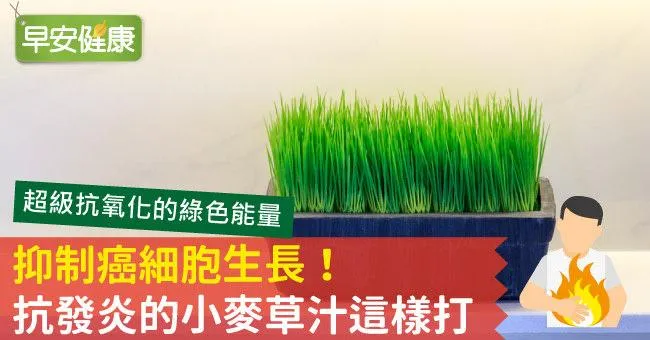 抑制癌細胞生長！抗發炎的小麥草汁這樣打