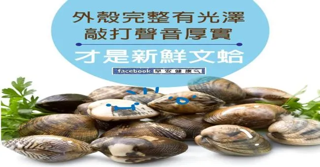 外殼完整有光澤、敲打聲音厚實，才是新鮮文蛤