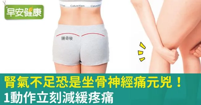 腎氣不足恐是坐骨神經痛元兇！1動作立刻減緩疼痛