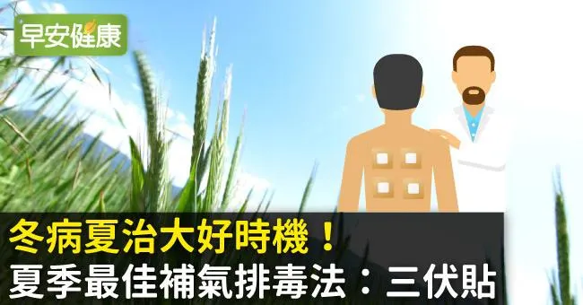 冬病夏治大好時機！夏季最佳補氣排毒法：三伏貼