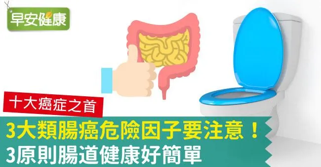 3大類腸癌危險因子要注意！3原則腸道健康好簡單