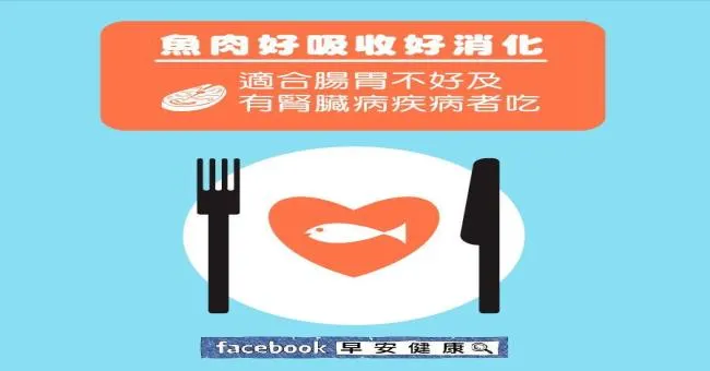 魚肉好吸收好消化，適合腸胃不好及有腎臟疾病者吃