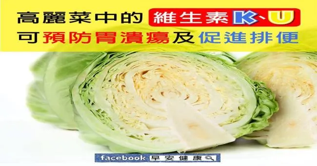 高麗菜中的維生素K、U可預防胃潰瘍及促進排便