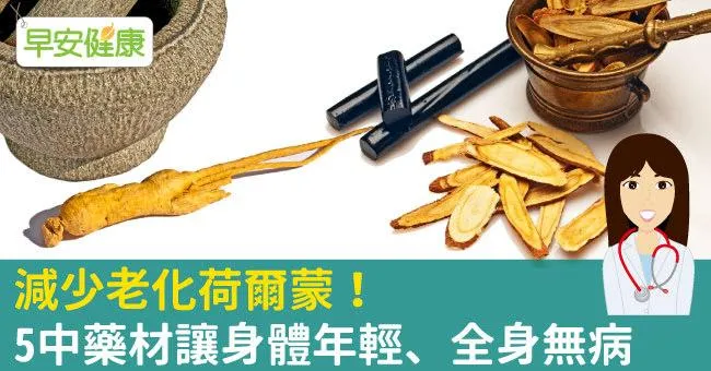 減少老化荷爾蒙！5中藥材讓身體年輕、全身無病