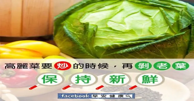 高麗菜要炒的時候再剝老葉，保持新鮮