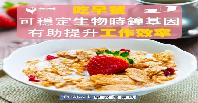 吃早餐可穩定生物時鐘基因，有助提升工作效率