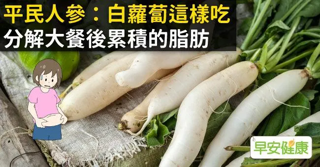 平民人參：白蘿蔔這樣吃，分解大餐後累積的脂肪