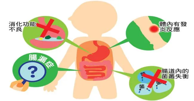 過敏、慢性食物過敏 如何引起？