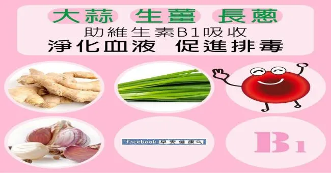 大蒜、生薑、長蔥幫助維生素B1吸收，淨化血液促進排毒