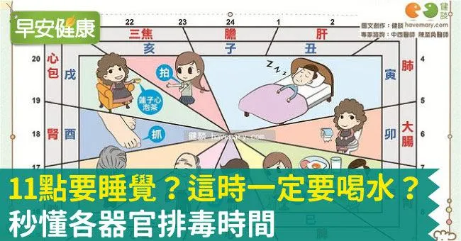 11點要睡覺？這時一定要喝水？秒懂各器官排毒時間