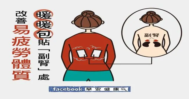 暖暖包貼副腎處，改善易疲勞體質