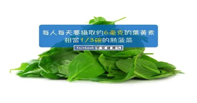每人每天要攝取約6毫克的葉黃素，相當於1／3碗的熟菠菜