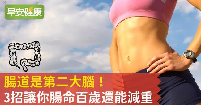 腸道是第二大腦！3招讓你腸命百歲，還能減重