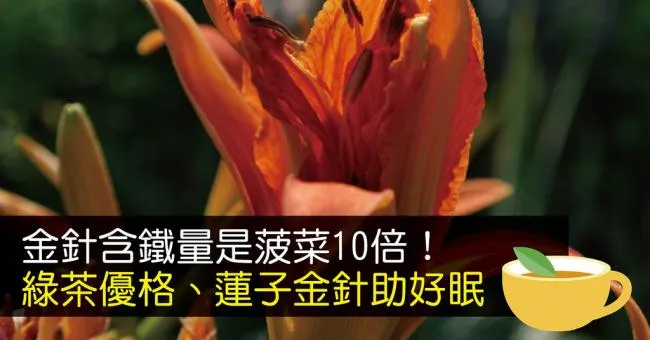 金針含鐵量是菠菜10倍！綠茶優格、蓮子金針助好眠