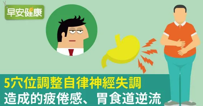 5穴位調整自律神經失調造成的疲倦感、胃食道逆流