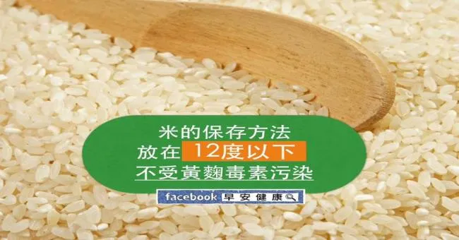 米的保存放在12度以下，不受黃麴毒素汙染