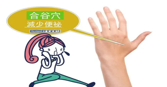 合谷穴，減少便秘