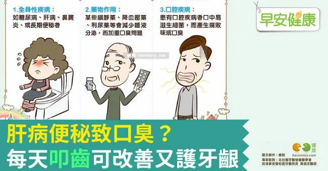 肝病便秘致口臭？每天「叩齒」可改善又護牙齦