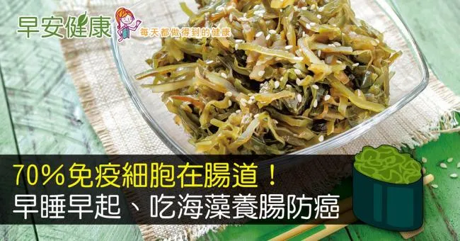 70％免疫細胞在腸道！早睡早起、吃海藻養腸防癌