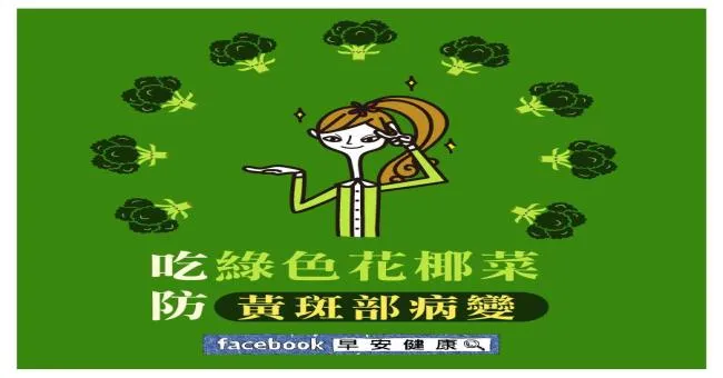 吃綠色花椰菜防黃斑部病變