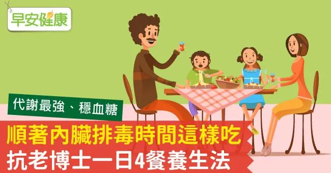 順著內臟排毒時間這樣吃，抗老博士一日4餐養生法