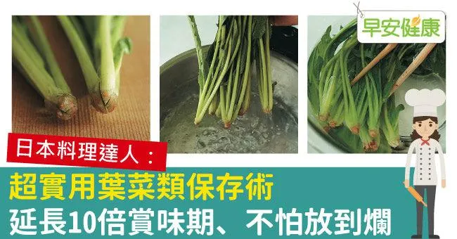 超實用葉菜類保存術，延長10倍賞味期、不怕放到爛