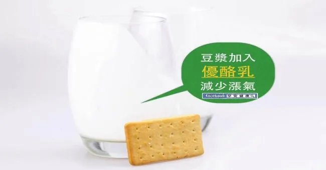 豆漿加入優酪乳，減少脹氣