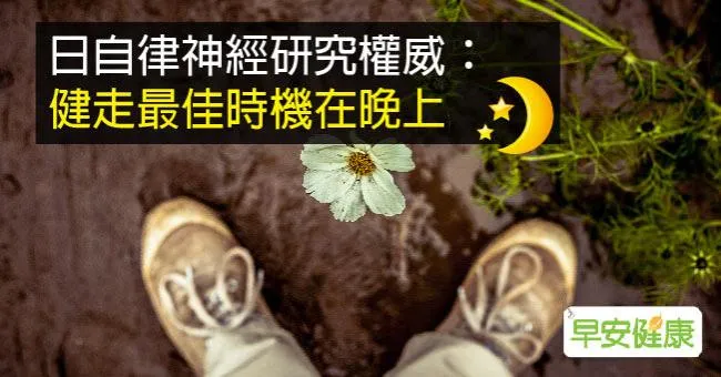 日自律神經研究權威：健走最佳時機在晚上
