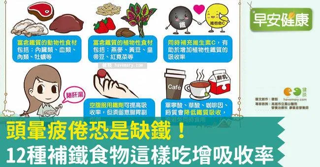 頭暈疲倦恐是缺鐵！12種補鐵食物這樣吃增吸收率