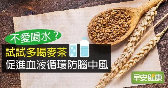 麥茶不只解渴！麥茶功效多，消水腫、促循環、防中風
