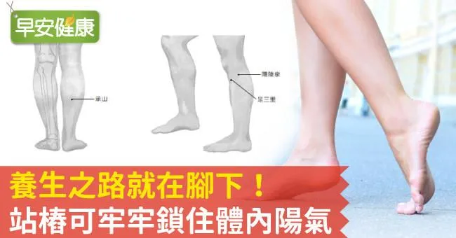 長壽之路就在腳下！站樁可牢牢鎖住體內陽氣