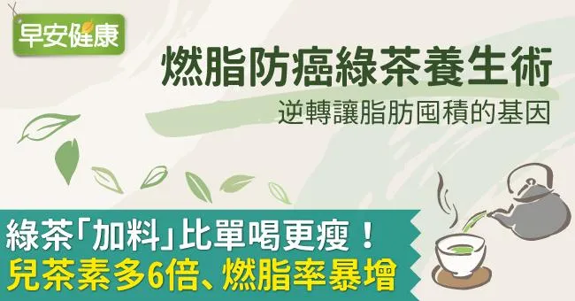 綠茶「加料」比單喝更瘦！兒茶素多6倍、燃脂率暴增