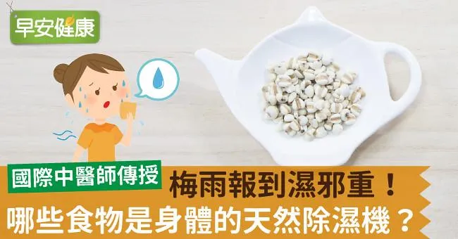 梅雨報到濕邪重！哪些食物是身體的天然除濕機？