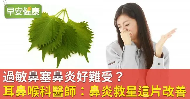 過敏鼻塞鼻炎好難受？耳鼻喉科醫師：鼻炎救星這片改善