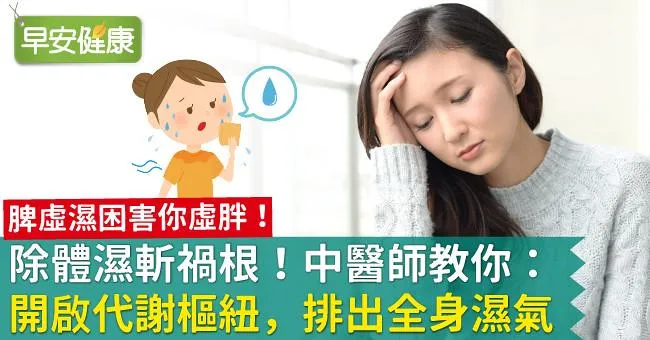 除體濕斬禍根！中醫師教你：開啟代謝樞紐，排出全身濕氣