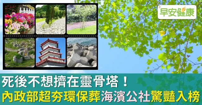 死後不想擠在靈骨塔！內政部超夯環保葬「海濱公社」驚豔入榜